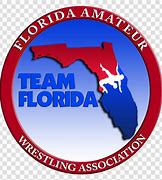 Image result for USA Wrestling California Logo