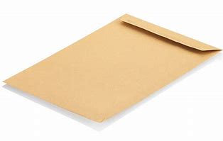 Image result for Ribbed Manila Envelope