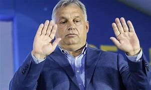 Image result for Orban Angry