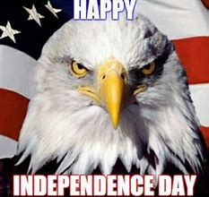 Image result for Independence Day Meme