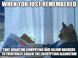 Image result for Security Cat Meme