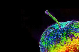 Image result for Apple Computer Macro Photography