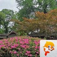 Image result for 胸襟坦荡