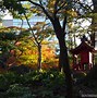 Image result for University of Tokyo in Autumn