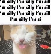 Image result for Ima Silly Boy Meme