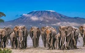Image result for Amboseli National Park Airport