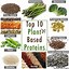 Image result for Complete Plant Proteins