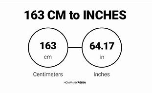 Image result for 163 Cm in Inches