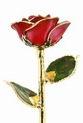Image result for 24 Karat Gold Rose