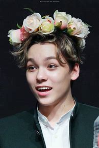 Image result for Vernon SVT Front-Facing Pic