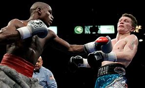 Image result for Mayweather Boxing