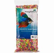 Image result for Rainbow Fish Tank Pebbles