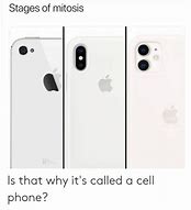 Image result for Mitosis Apple Phone
