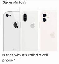 Image result for iPhone 11 Mitosis