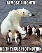 Image result for Penguin and Polar Bear Meme