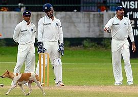Image result for Funny Cricket Activities