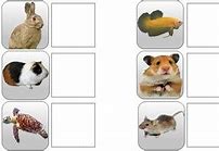 Image result for Boardmaker Dog Cat Hen Animals