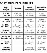 Image result for Canidae Chart