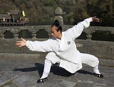 Image result for Wu Tai Chi Chuan