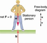 Image result for Body Diagram Physics