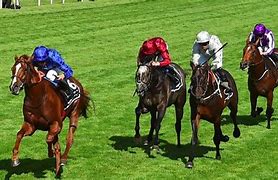 Image result for Horse Racing Australia