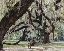 Image result for New Orleans, LA parks and recreation