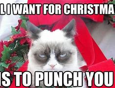 Image result for Angry Cat Christmas Meme