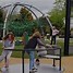Image result for Hamilton Zoo NZ BBQ and Picnic