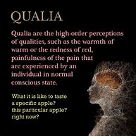 Image result for qlalia