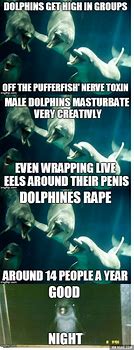 Image result for Scary Dolphin Meme