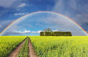 Image result for Rainbow Over Field