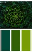 Image result for Trendy Green Color Palette