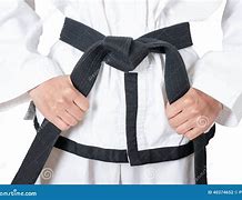Image result for Black Belt Taekwondo