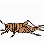 Image result for Cricket Insect Clip Art