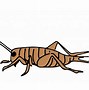 Image result for Cricket Insect Cartoon Quiet