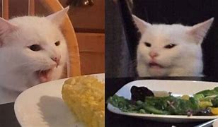Image result for Cat Eating Salad