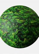Image result for 3D Leaf Texture