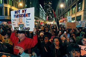 Image result for 2016 Election Protests