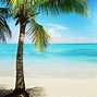 Image result for Laptop Beach