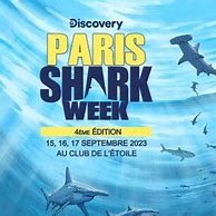 Image result for Sprayground Sharks in Paris