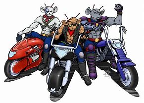 Image result for Funny Motorcycle Cartoons