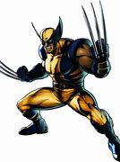 Image result for Wolverine Photo Meme Template PNG