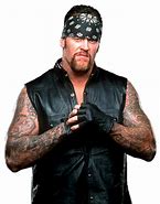 Image result for WWE Wrestling