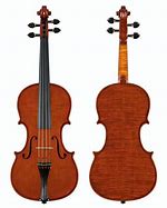 Image result for Violin Shape