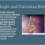 Image result for Consolidation Theory of Sleep