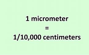 Image result for Micrometers to Centimeters