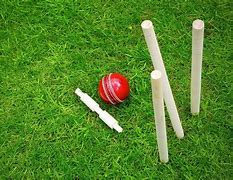 Image result for Cricket Themed Wallpaper