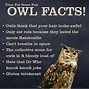 Image result for 2 Facts About Owls