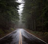 Image result for Rainy Forest Wallpaper Engine