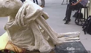 Image result for Nazca Mummies